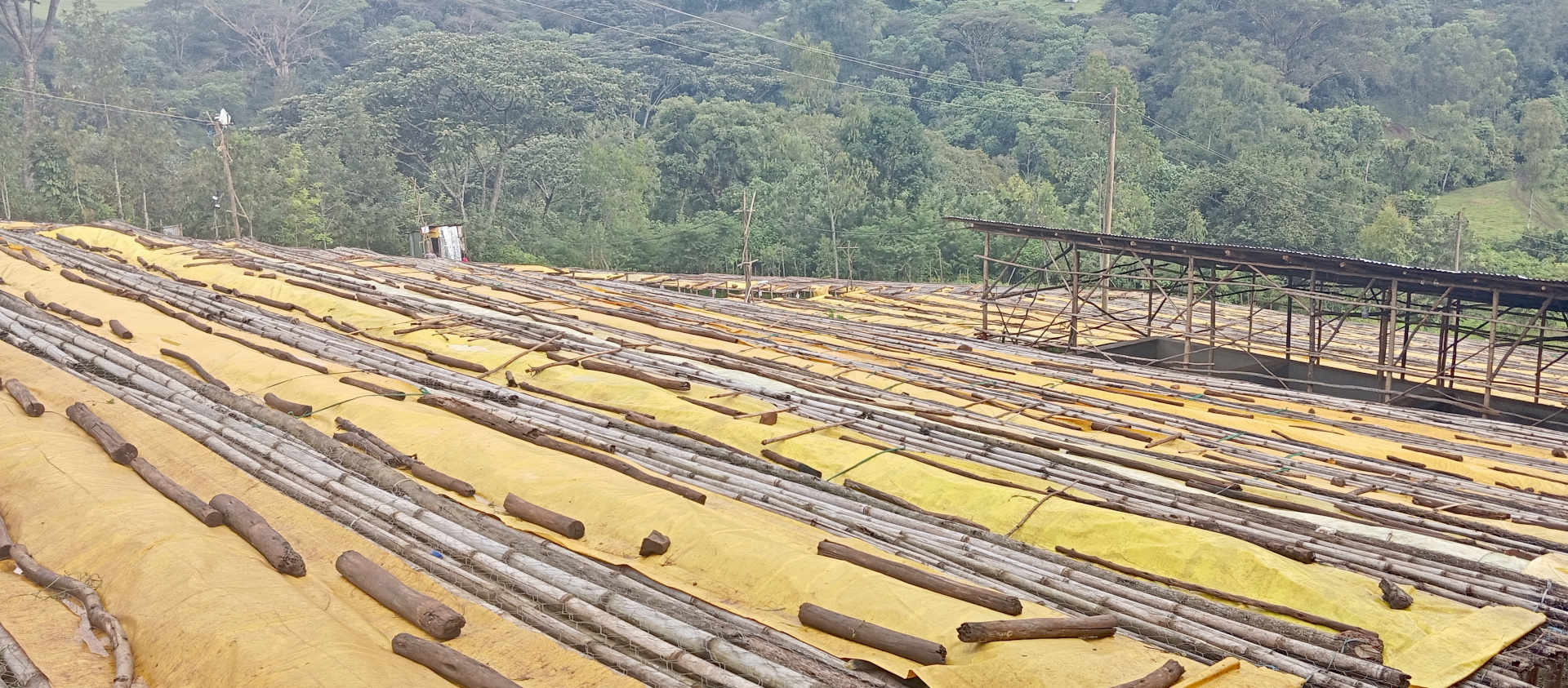 Kebena Trading